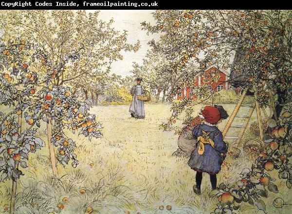 Carl Larsson Apple Harvest